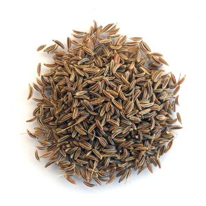 Carvi Bio