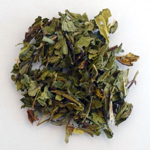 Menta Piperita Bio