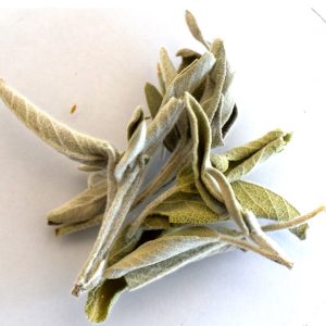 Salvia | KmZero