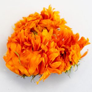 Calendula Bio